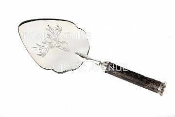 Silver cake slice